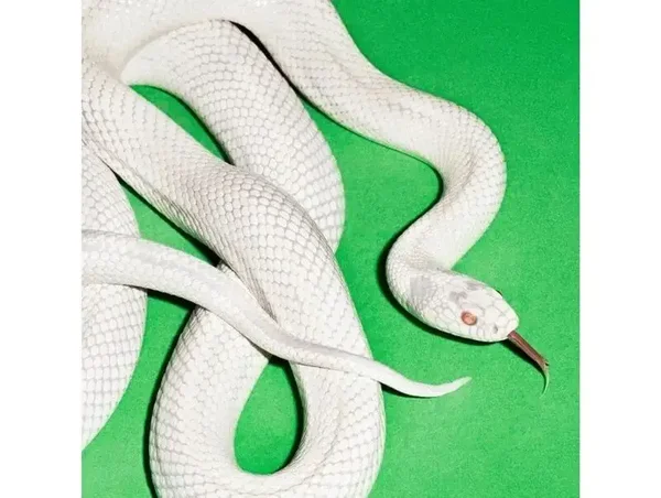 Deftones | Private Music LP nieuw