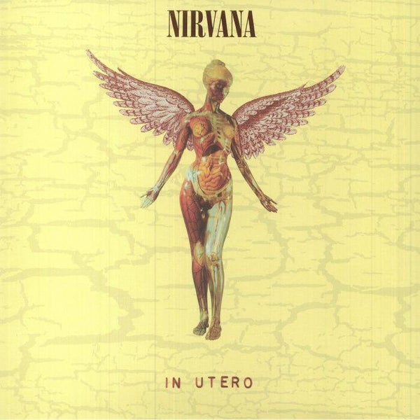 Nirvana | In Utero (30th Anniversary Edition) LP