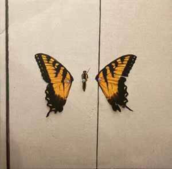 Paramore | Brand New Eyes LP