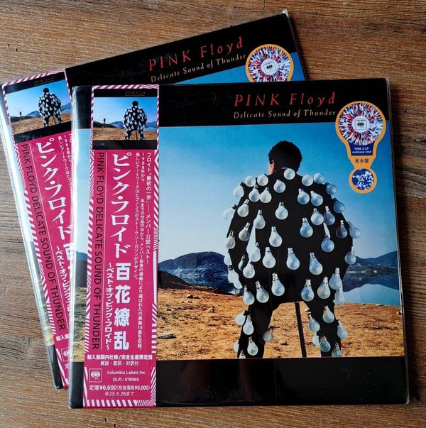 Pink Floyd - Delicate Sound of Thunder (Japan Import)