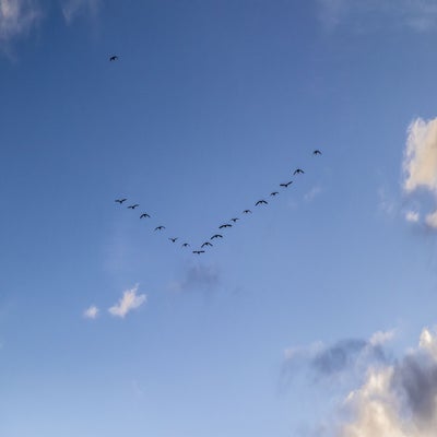 IMG_6650web.jpg