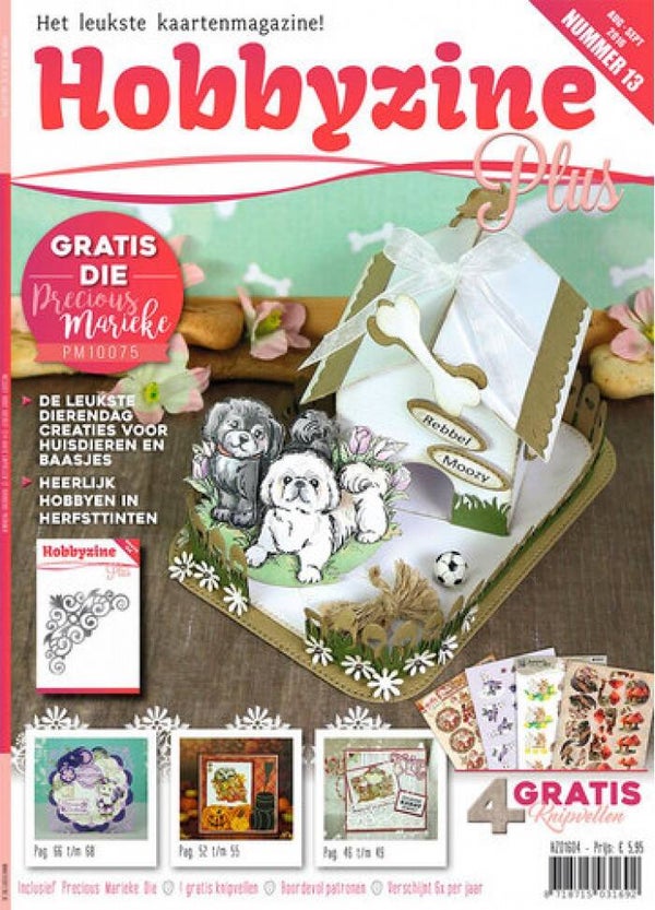 Hobbyzine Plus 13