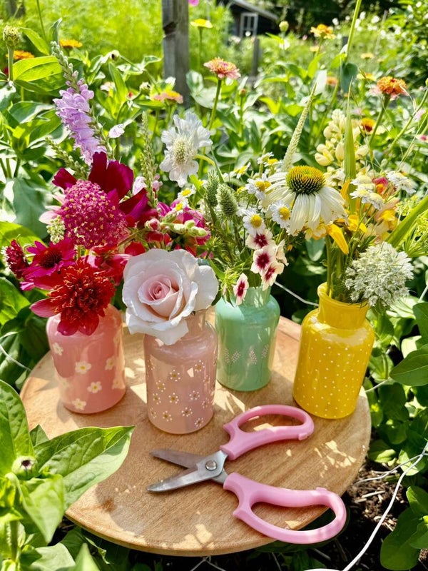 Schilder- en plukworkshop Vrijdagavond 04-09-2026. 18.30 uur