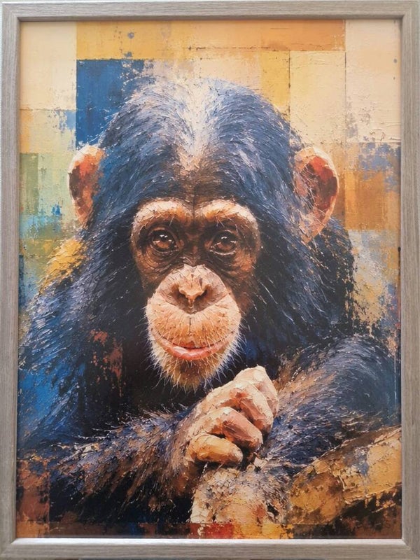 Afm. 320x420  Abstract Chimp Front