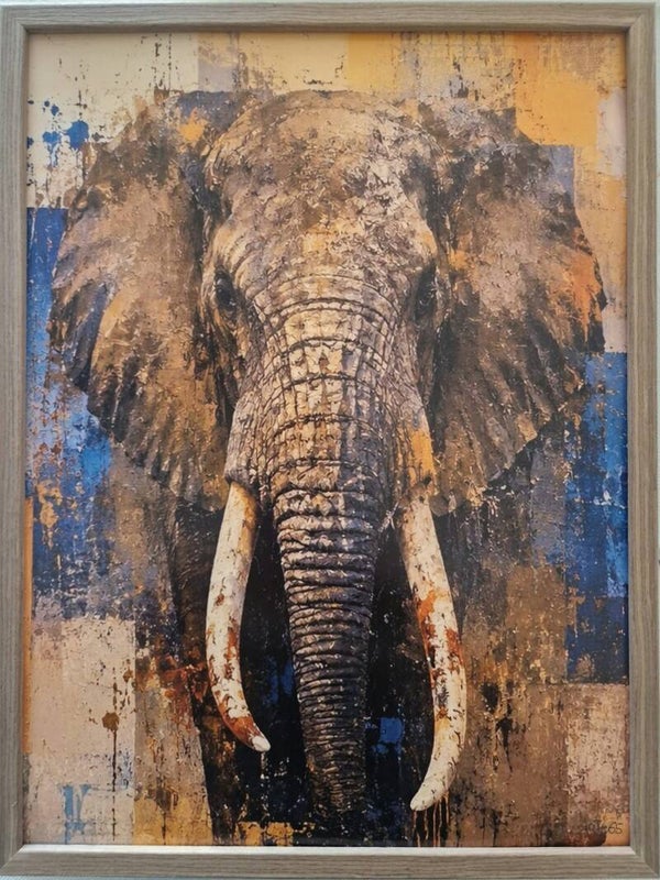 Afm. 320x420 Abstract Olifant Front