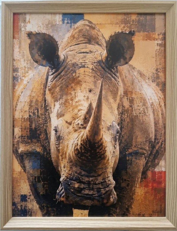 Afm. 320x420  Abstract Neushoorn Front