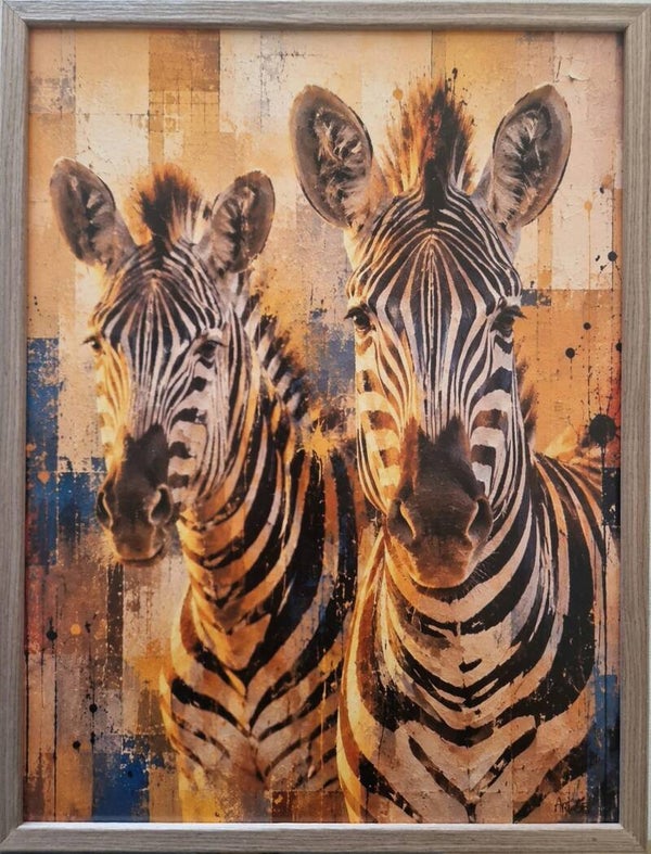 Afm. 320x420  Abstract Zebra Front