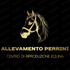 Allevamento Perrini