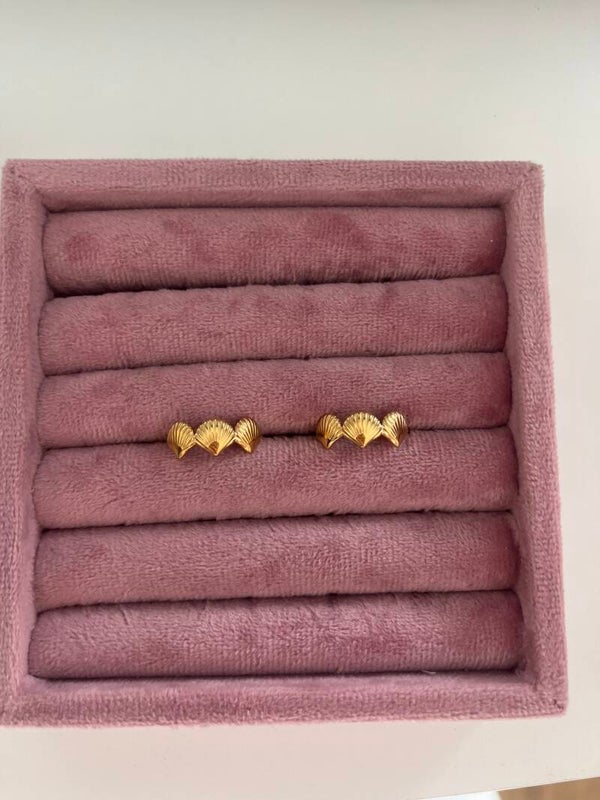 ring schelp
