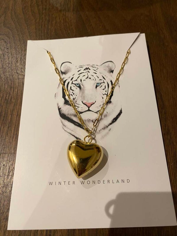 Bedelketting hart met schakelketting