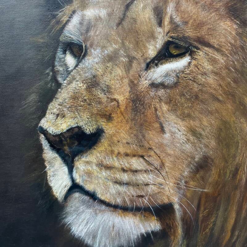 Lion detail
