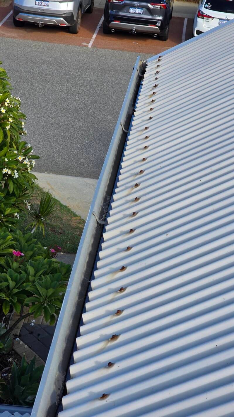 Residential gutter cleaning
