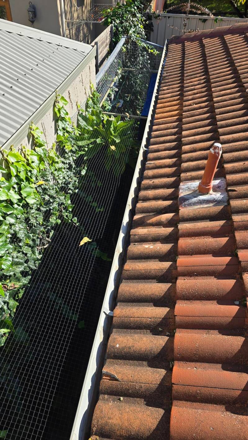 Gutter vac cleaning