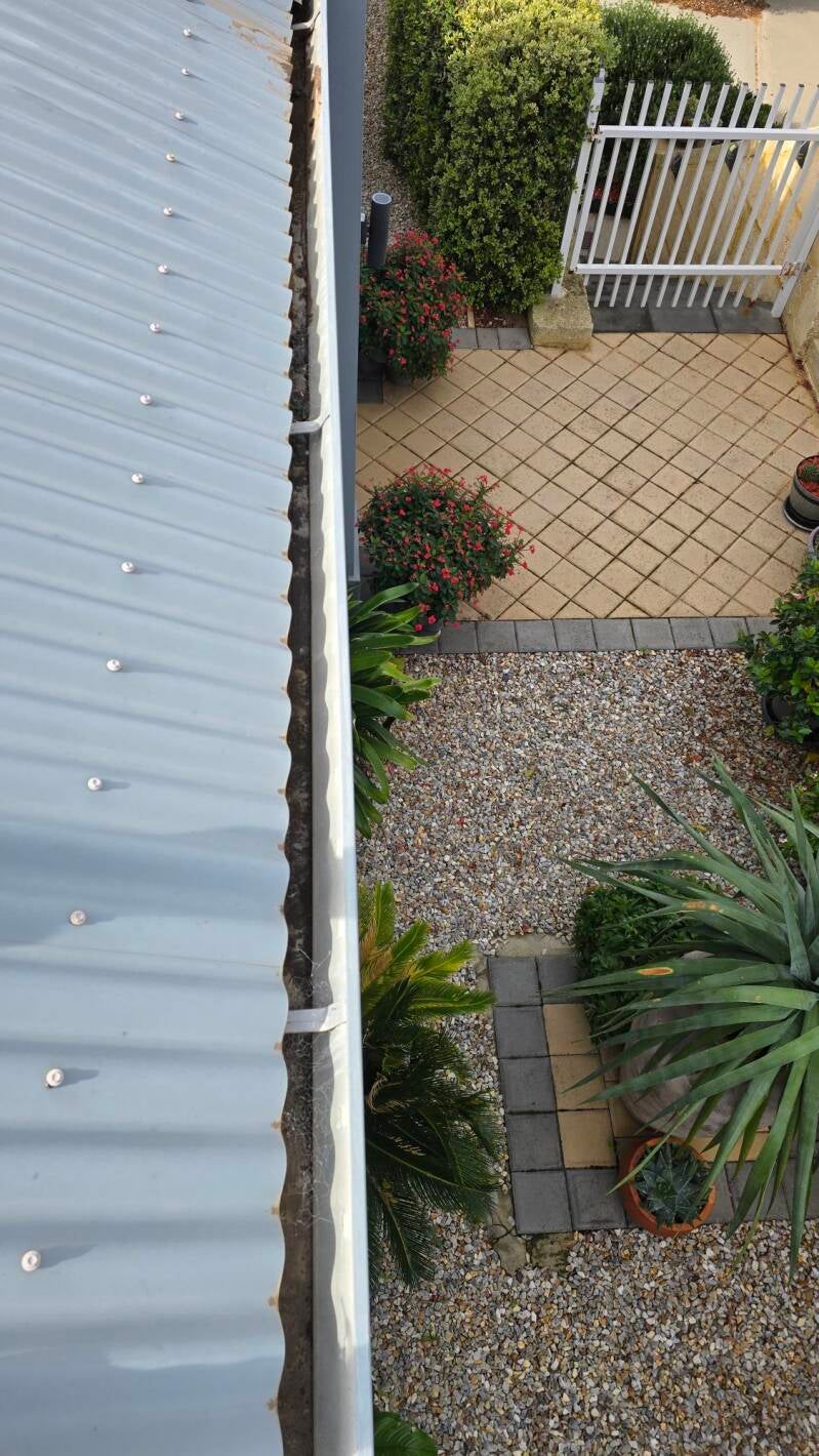 Professional gutter cleaning