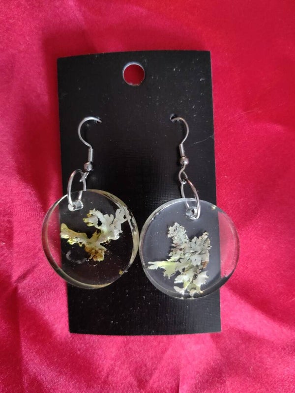 Rungolta jäkälää korvakorut