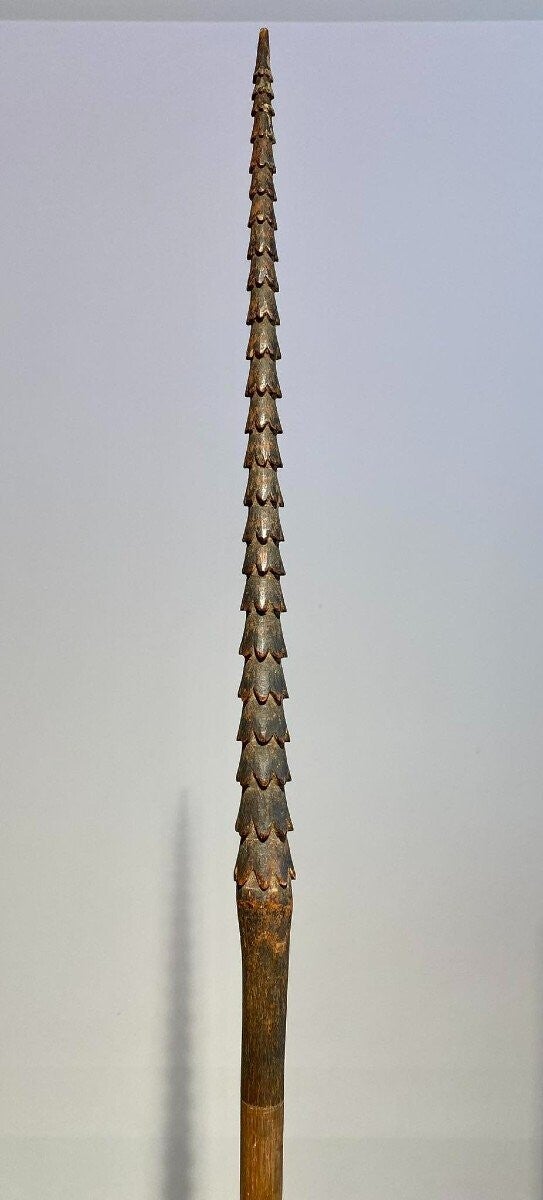 Old Spear Fiji Islands - Samoa - Tonga - Art Oceania Melanesia 19th Century 220 Cm Length