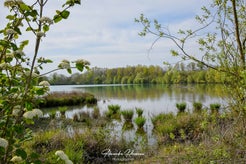 dsc_6915.jpg