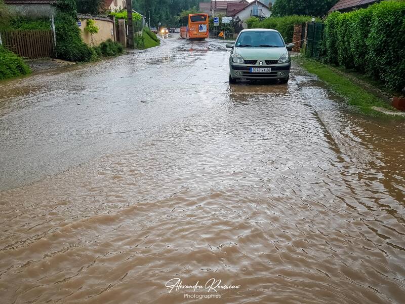 20180611_180636-standard.jpg