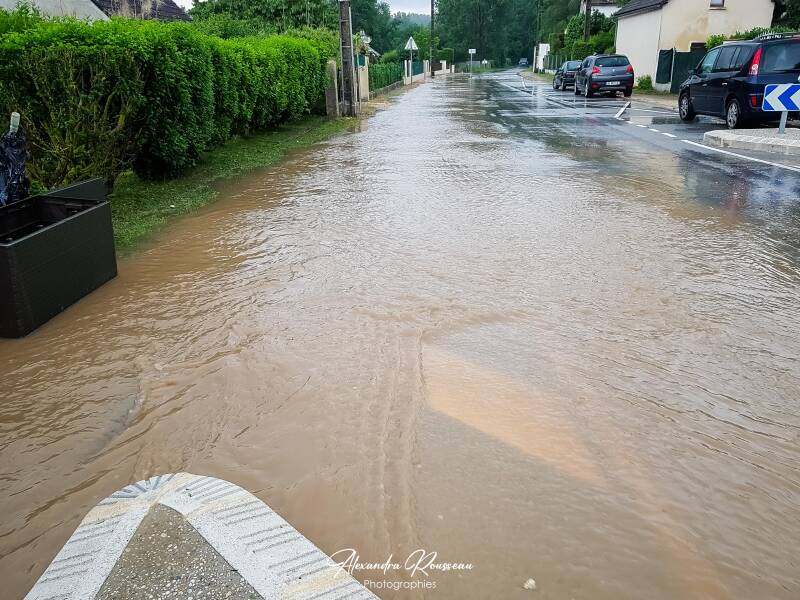 20180611_180735-standard.jpg