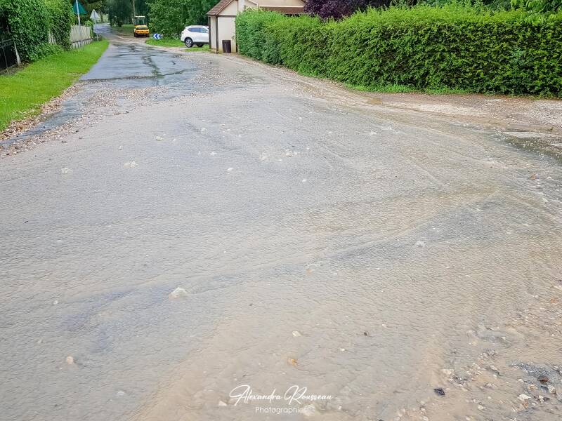 20180611_201320-standard.jpg