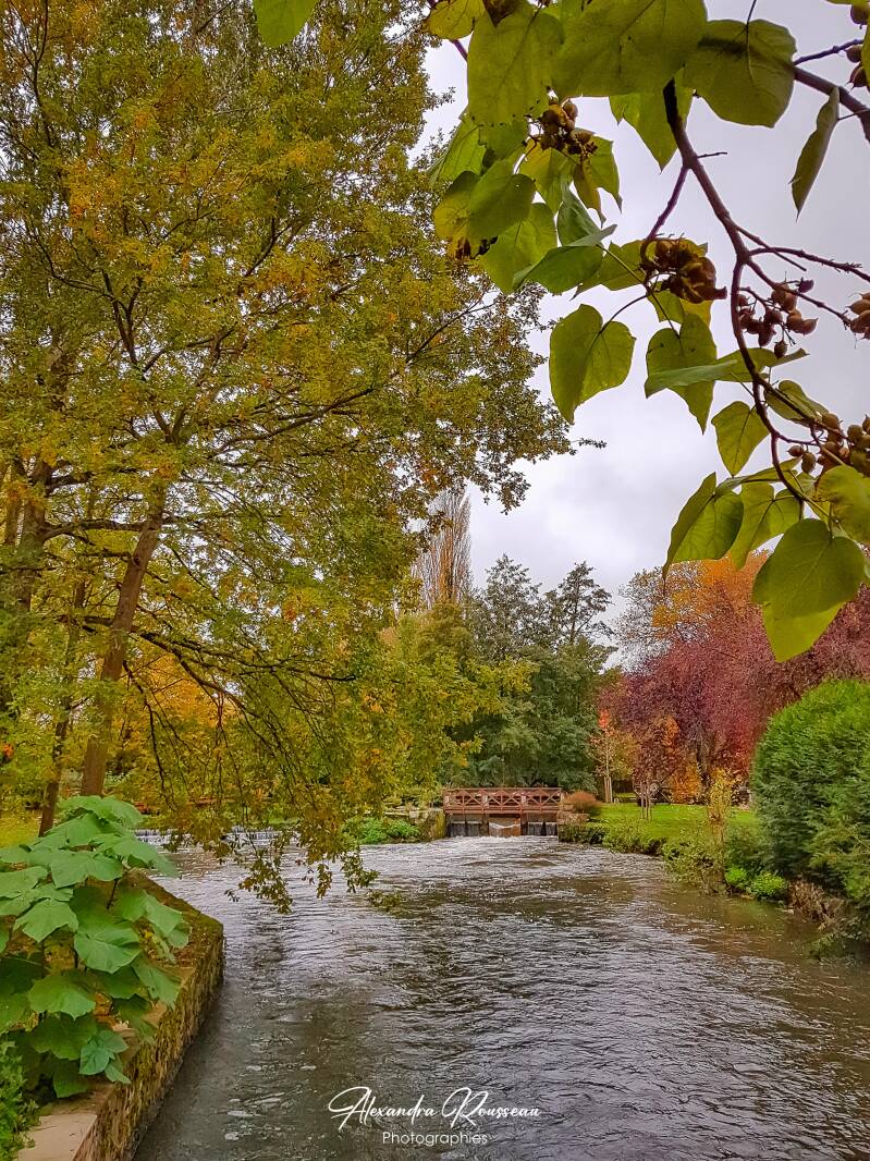 20191105_082825-01-standard.jpg