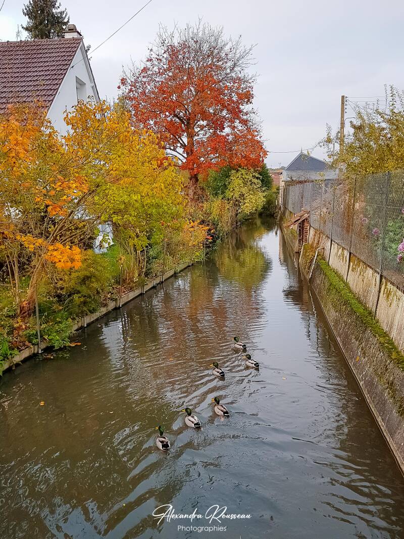 20191106_081431-standard.jpg
