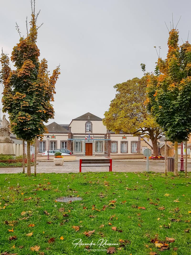 20191106_082212-standard.jpg