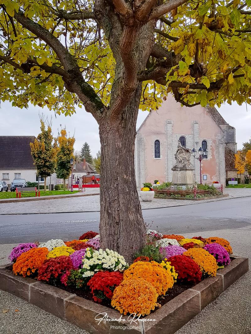 20191106_082741-standard.jpg