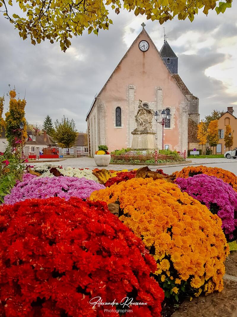20191106_082812-standard.jpg