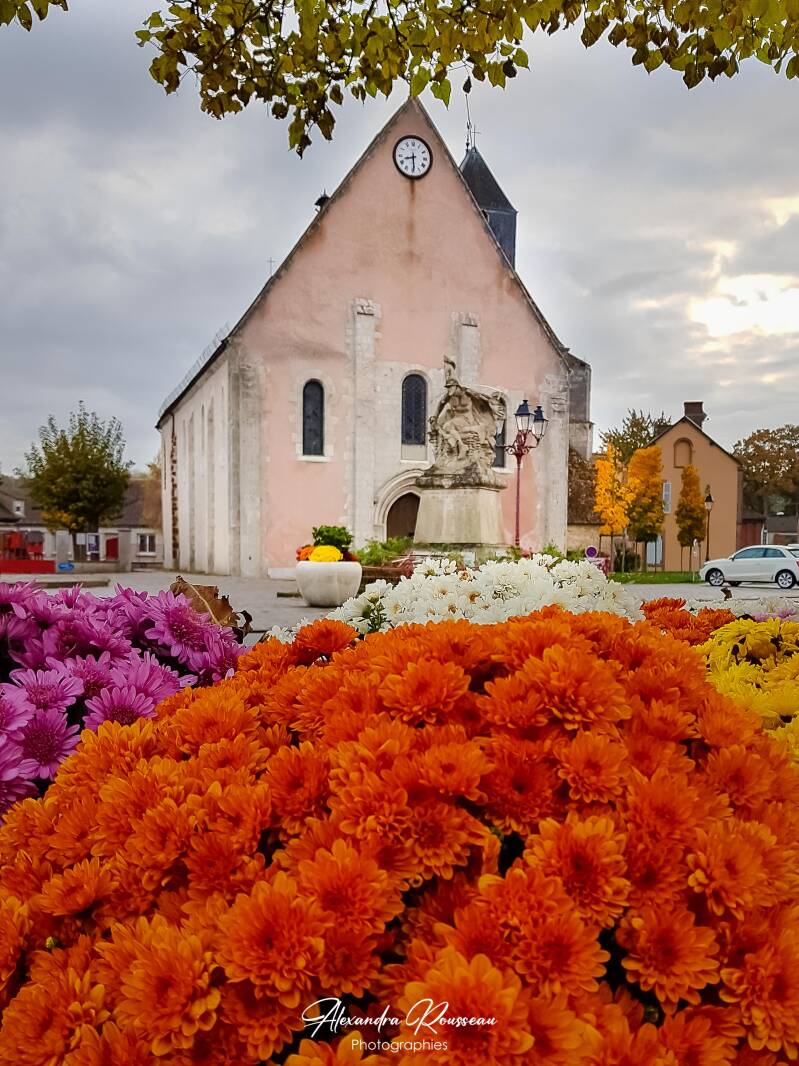 20191106_082936-standard.jpg