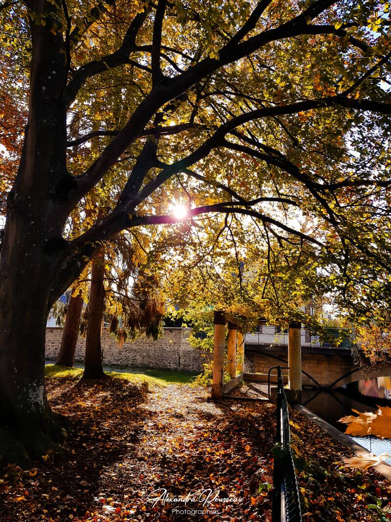 20201104_150045-standard.jpg