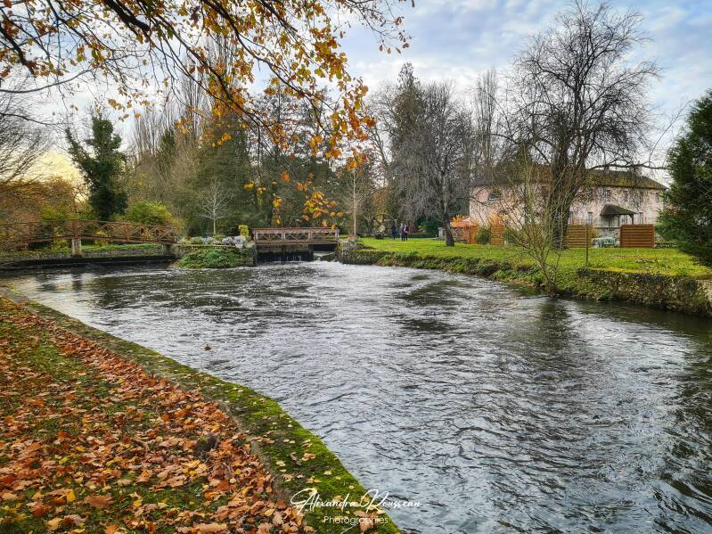 20231126_145123-01-standard.jpg