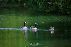 dsc_9780.jpg