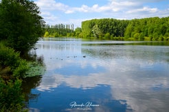 dsc_9916.jpg