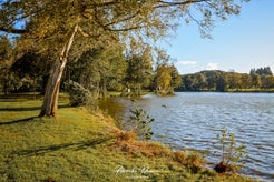 dsc_6169.jpg