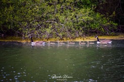 dsc_9719.jpg