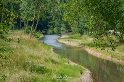 dsc_2145.jpg