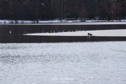 dsc_1905.jpg