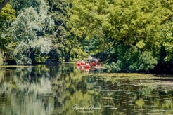 dsc_4167.jpg