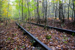 dsc_9330.jpg