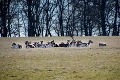 dsc_5010.jpg