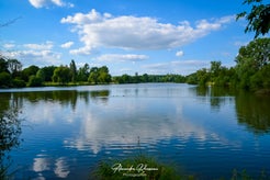dsc_0001.jpg