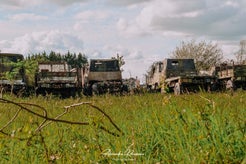 dsc_8081.jpg