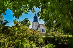 dsc_2597.jpg