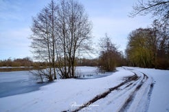 dsc_1938.jpg