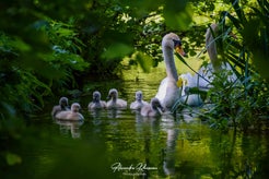 dsc_9806.jpg