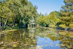 dsc_4166.jpg