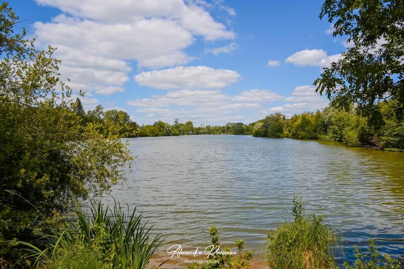 dsc_0037-standard.jpg