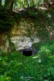dsc_0074-standard.jpg