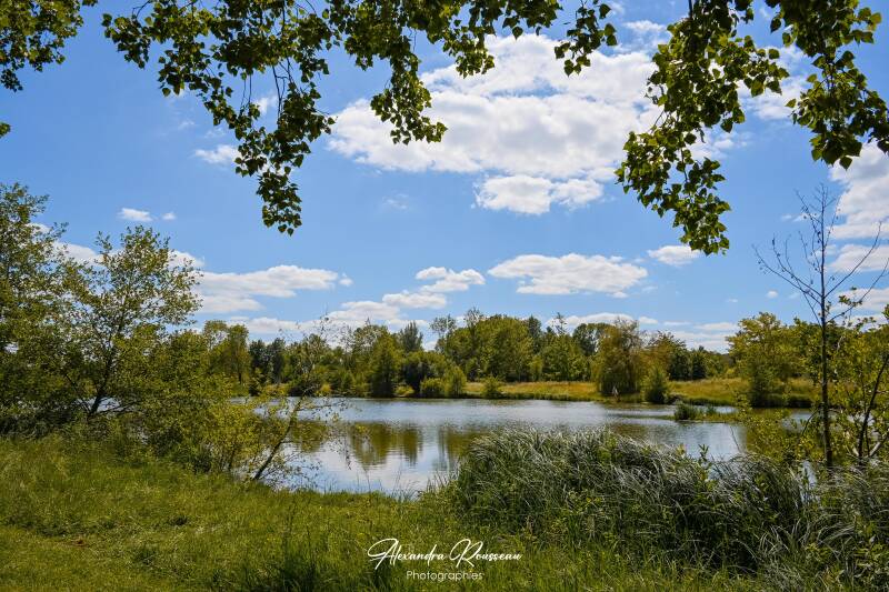dsc_0103-standard.jpg